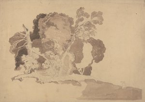 Studie van bomen